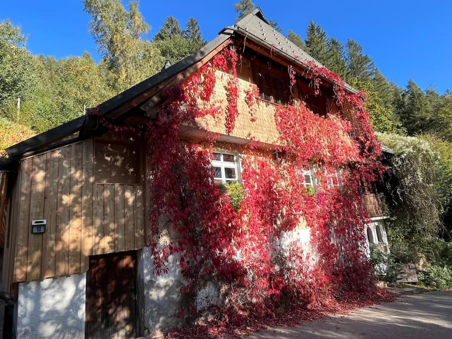 Auszeit Am Kreisbach Apartment Triberg im Schwarzwald ภายนอก รูปภาพ